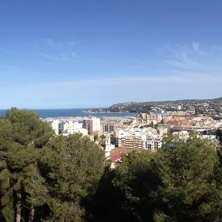 Palmar